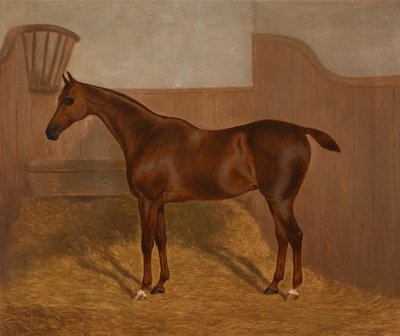 Ritratto di cavallo (Lady Oswestry o Dandy, uno dei due dipinti offerti in un lotto con queste denominazioni) da F. Clifton